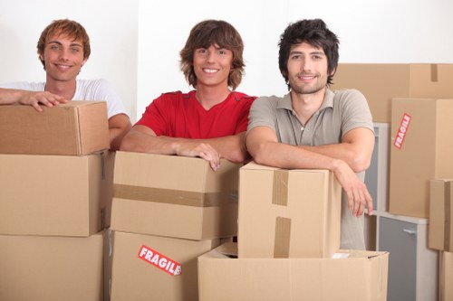 Protective packing materials used for fragile items during a move