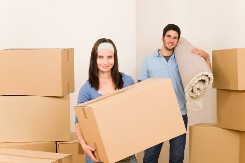 Sturdy removal boxes and packing supplies suitable for flats and houses in Hammersmith