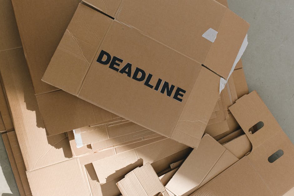 A young woman with long dark hair, wearing a white tank top, beige pants, and black-and-white sneakers, is sitting on a wooden floor surrounded by numerous packed cardboard boxes of various sizes, som